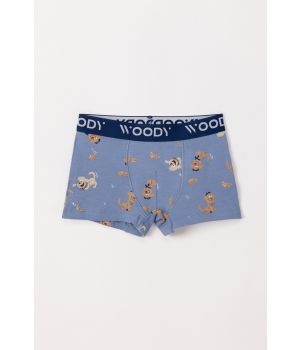 Woody Jongens Boxer set blauw + labradoo